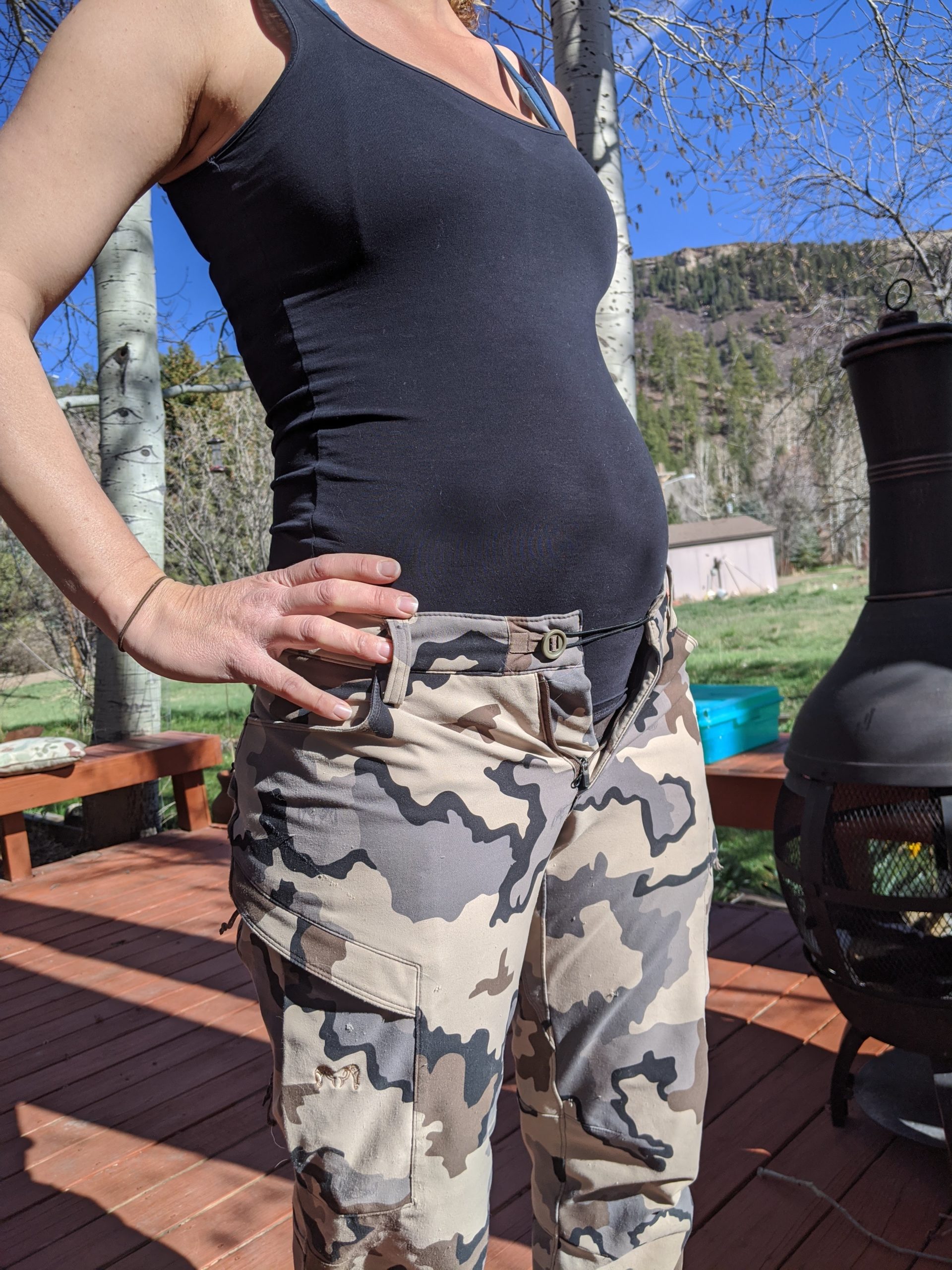 Hunting While Pregnant Artemis Artemis