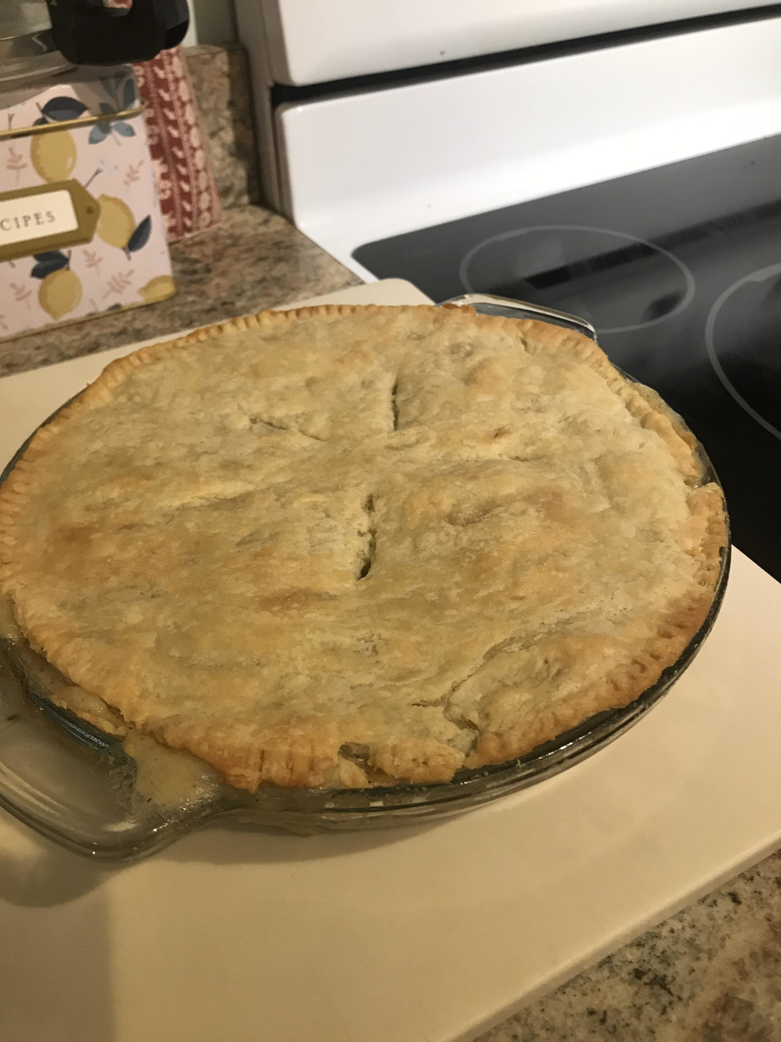 Squirrel Pot Pie Artemis